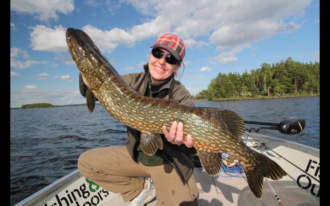 Fiske i Grycksbo – Stensjön, smarta tips och det du behöver veta innan du åker