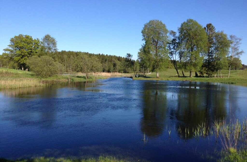 Fiske i Ullared – Musasjön och en genomtänkt guide för en riktigt bra tur