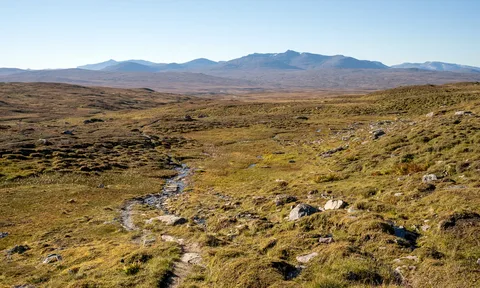 Fjällvandra i Jämtland – guide till Jämtlandstriangeln, Snasahögarna och dagsvandringar